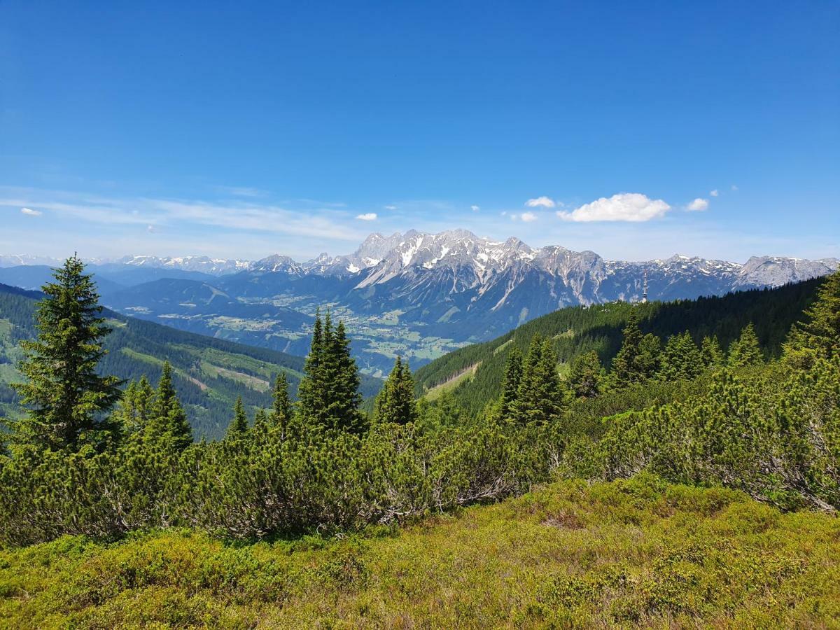Appartement Am Hauser Kaibling Екстер'єр фото