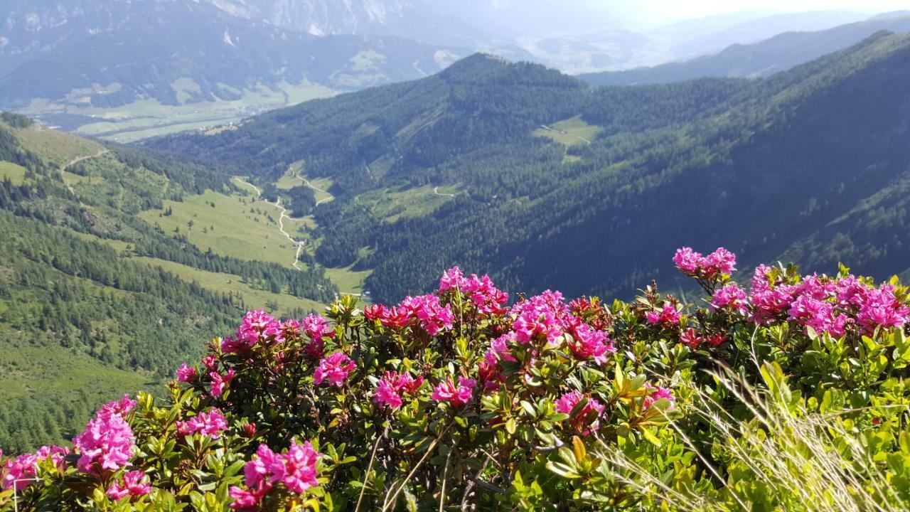 Appartement Am Hauser Kaibling Екстер'єр фото
